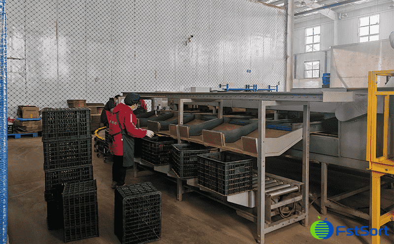 images/1772613375696sweet potato sorter.png